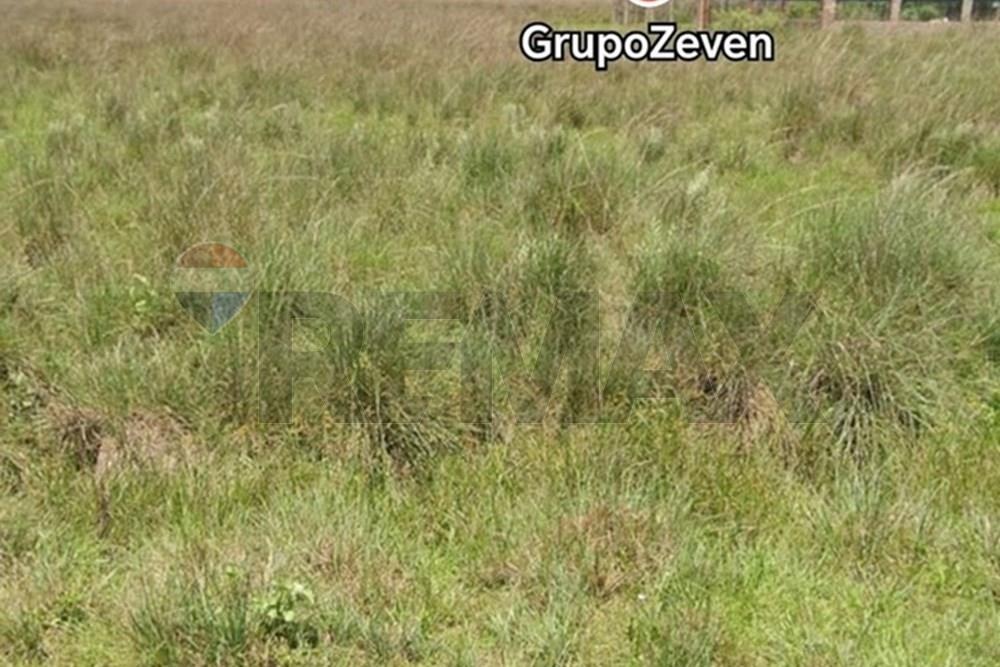 Terreno en venta en Nueva Colombia — foto 3