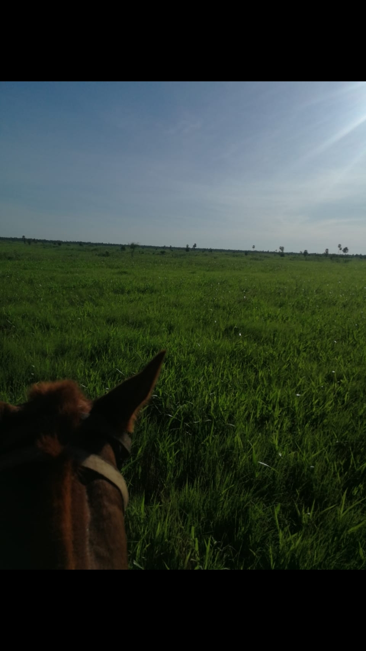 Vendo HERMOSA Estancia en PTE HAYES Chaco paraguayo! — foto 2