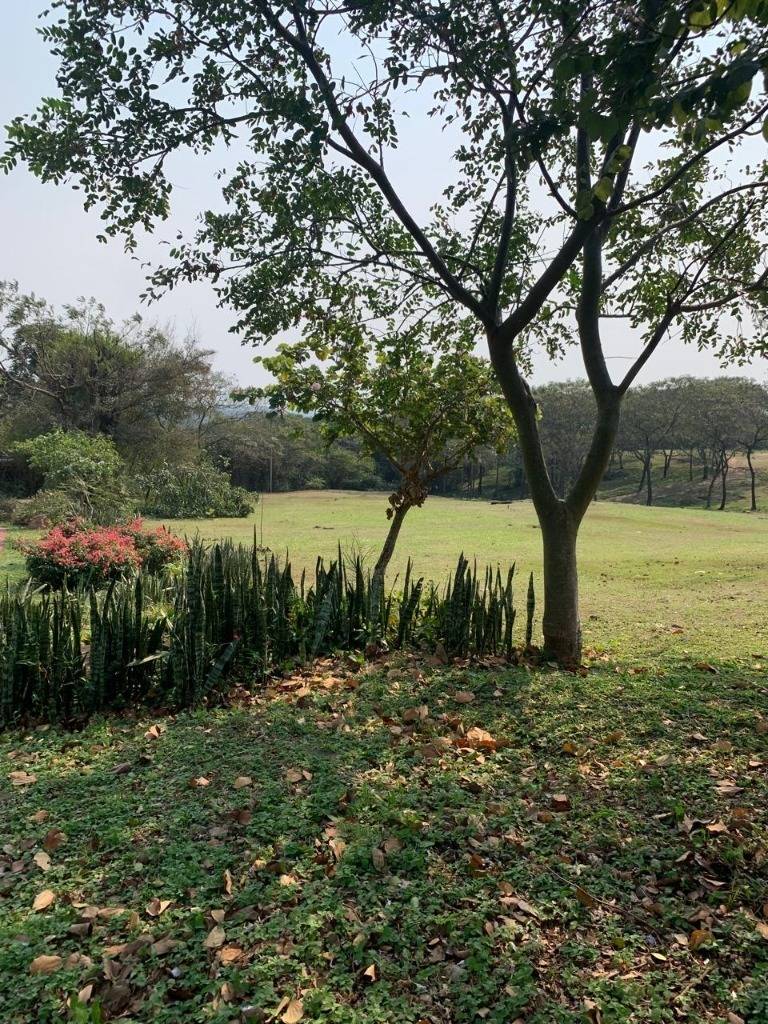 ¡Punta Bella ! Un paraíso en San Bernardino ID:27743 — foto 2