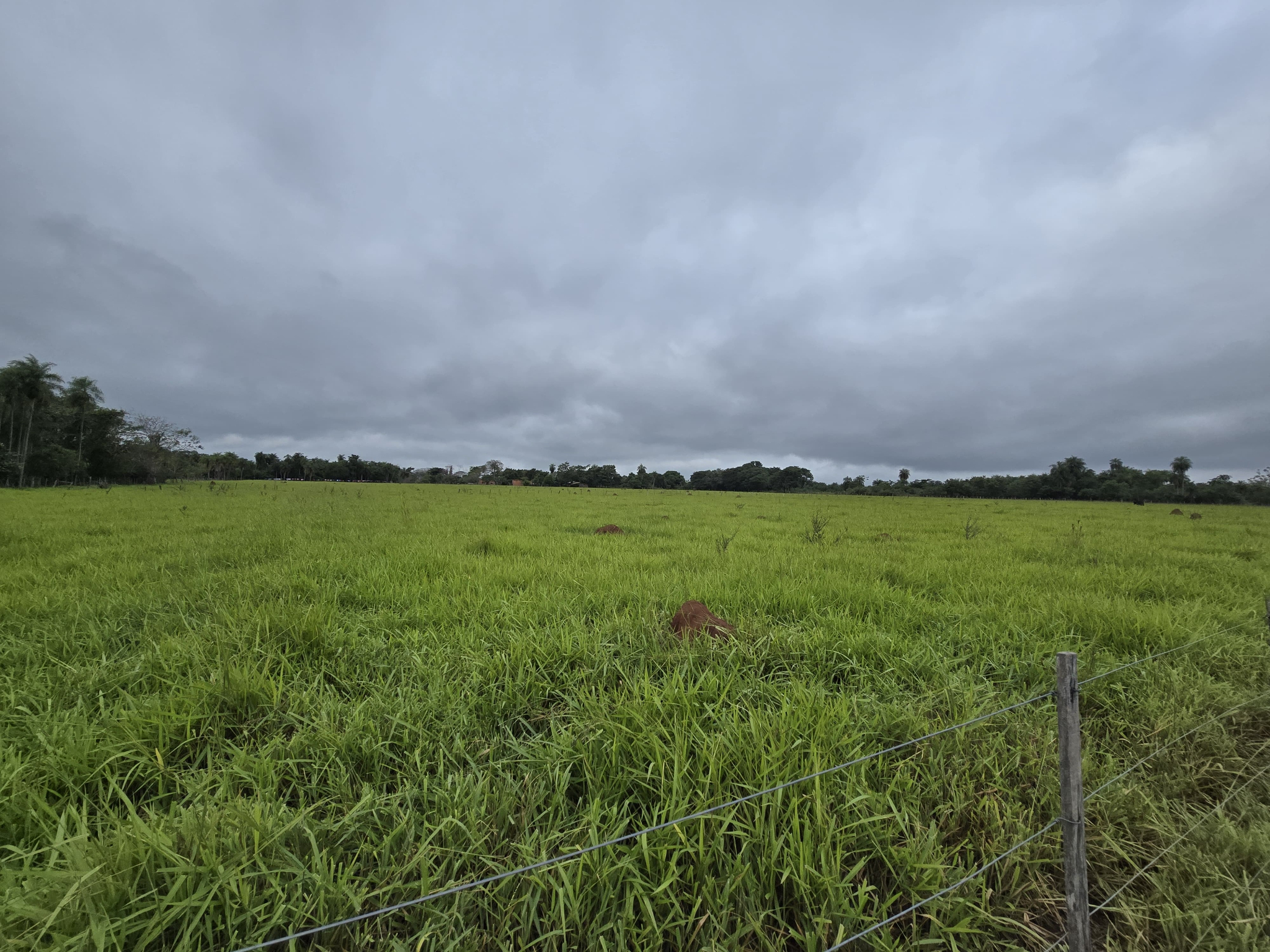 Terreno en venta en Arroyos y Esteros — foto 2