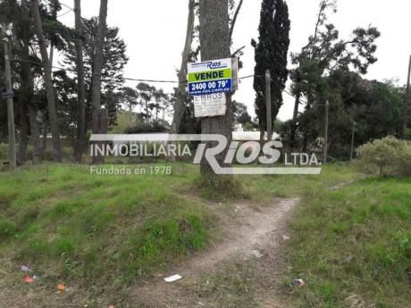 Terreno En Pinar Norte
