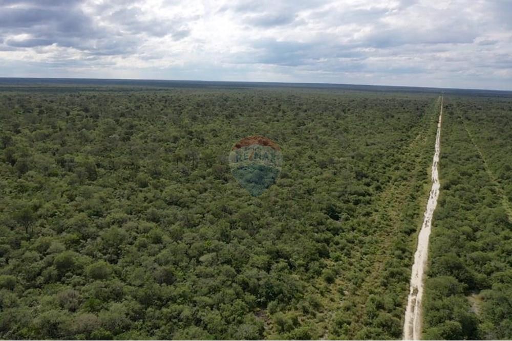 Vendo Terreno de 14.086 Hectáreas en Bahía Negra — foto 2