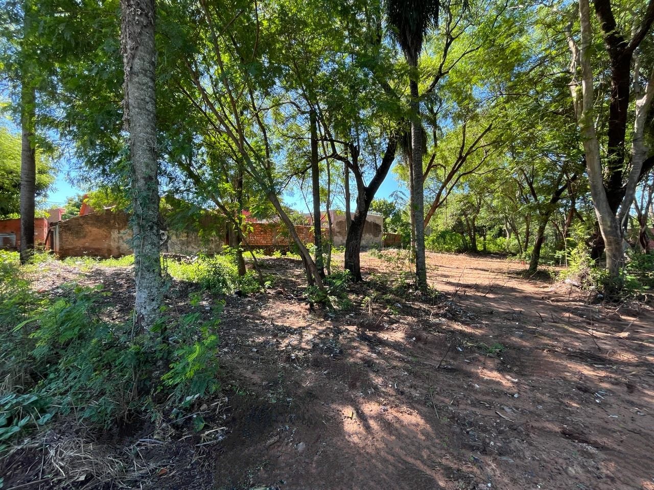 TERRENOS MARAMBURE LUQUE — foto 3