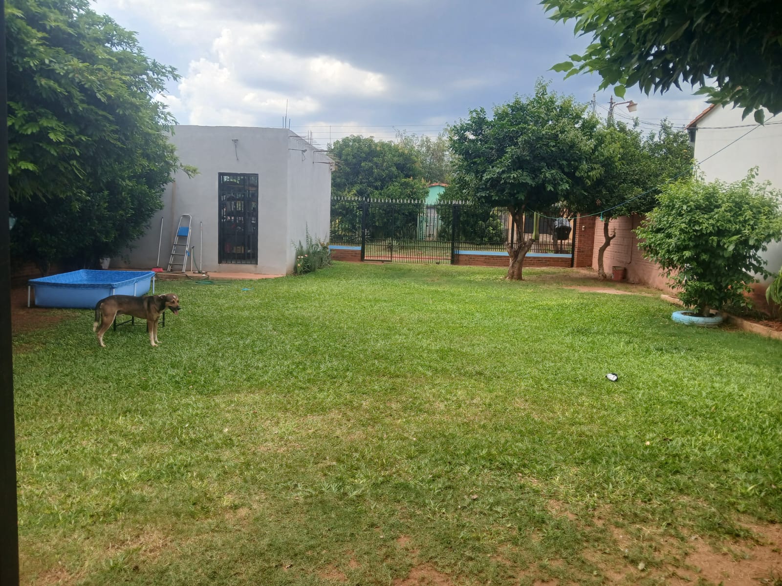 Casa-Venta- Rojas Cañada compañia 8 capiata — foto 2