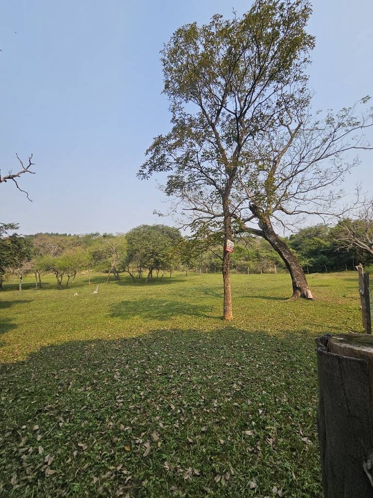 VENDO PROPIEDAD EN ALTOS A 600 MTS DE RUTA — foto 2