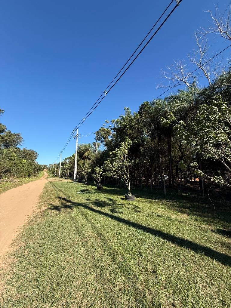 TERRENO DE 6.7 HA EN SAN BERNARDINO — foto 3
