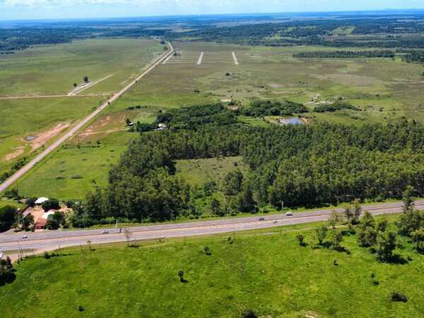 VENDO 10 HECTAREAS EN CORONEL OVIEDO SOBRE RUTA PY02 — foto 2
