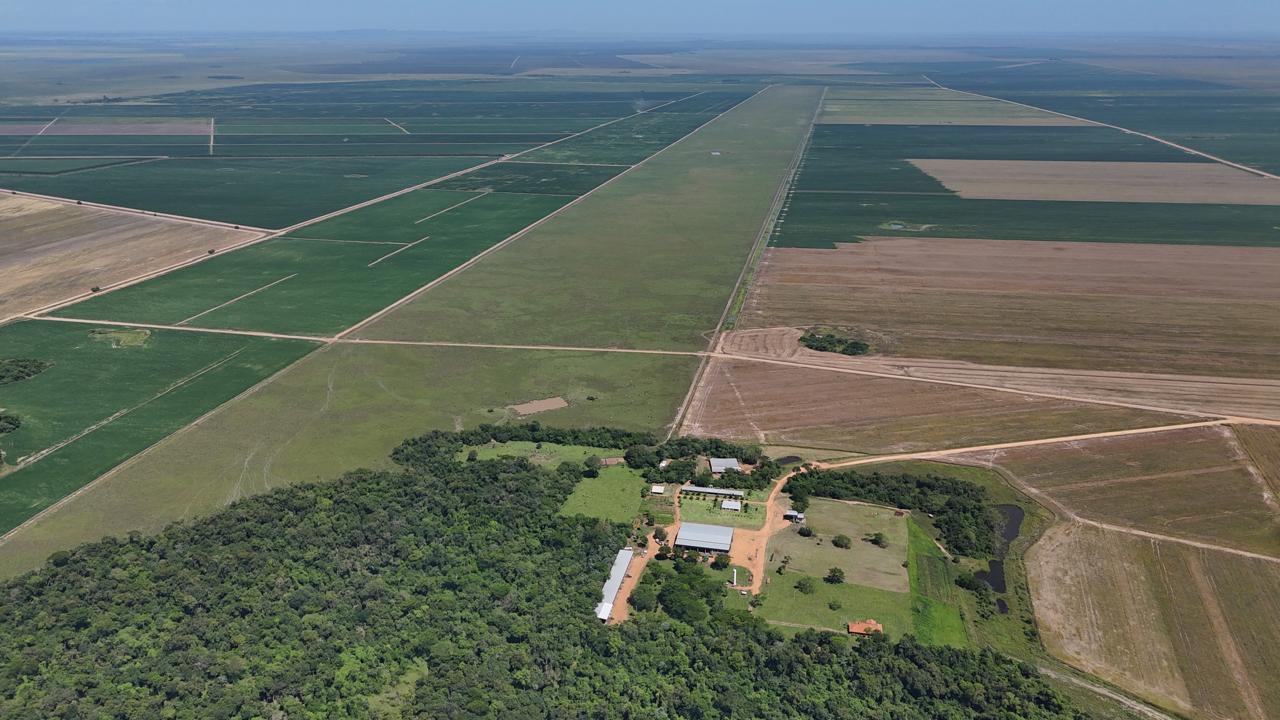 Vendo Campo de  4,607 Hectáreas en General Artigas Itapúa — foto 2
