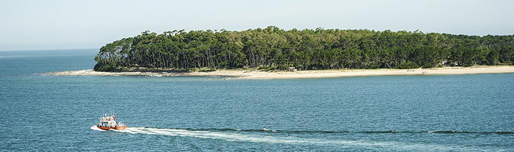 Comenzaron los trabajos de restauración en Isla Gorriti