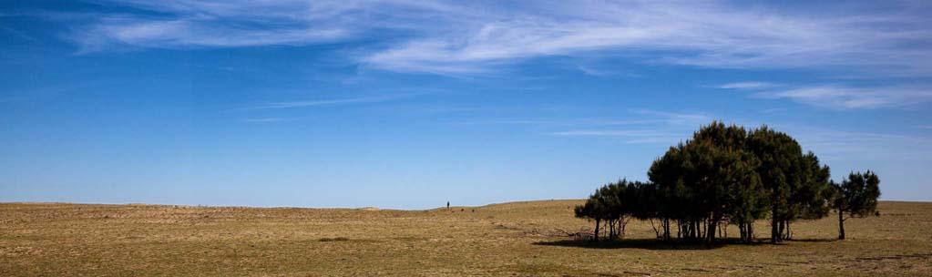 Zona Laguna Garzón