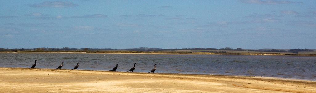 Laguna José Ignacio