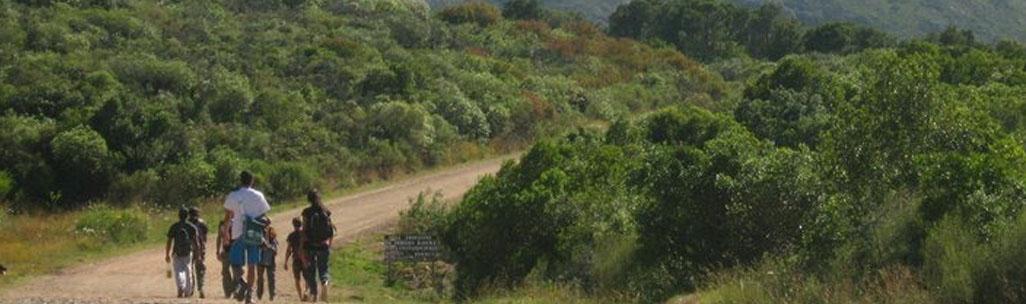 Cerro de los Burros