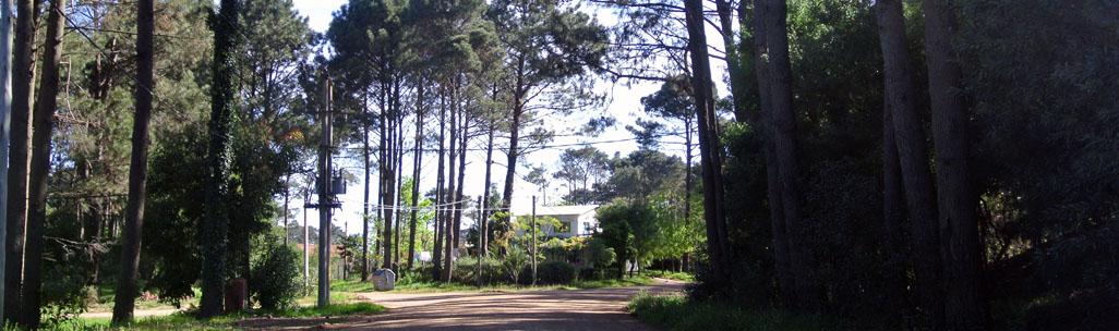 Barrio La Falda
