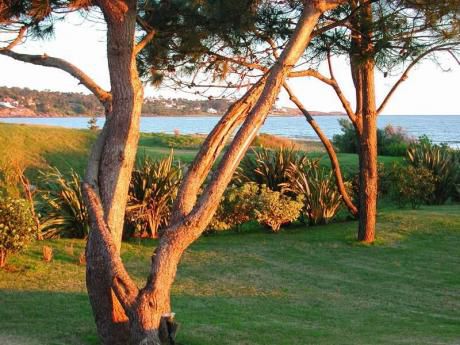 Casas En Punta Ballena