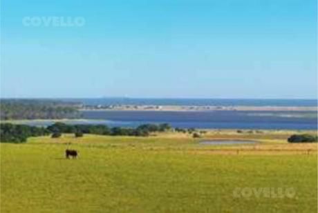 Terrenos En José Ignacio