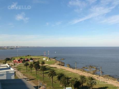 Apartamentos En Punta Carretas