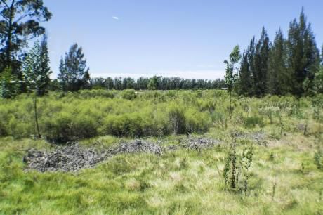 Terrenos En Punta Del Este