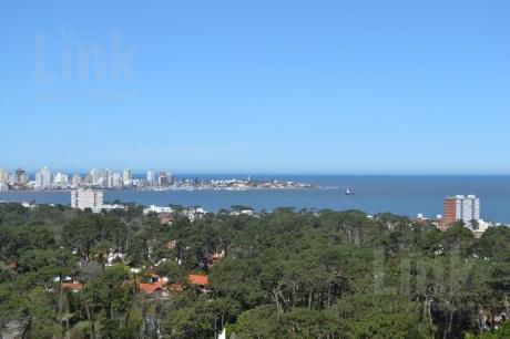 Apartamentos En Roosevelt