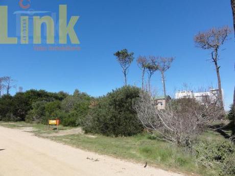 Terrenos En José Ignacio