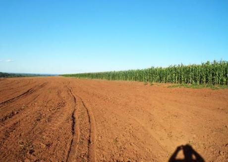 Caaguazu 2500 Agricola, Ganadera Y Forestal