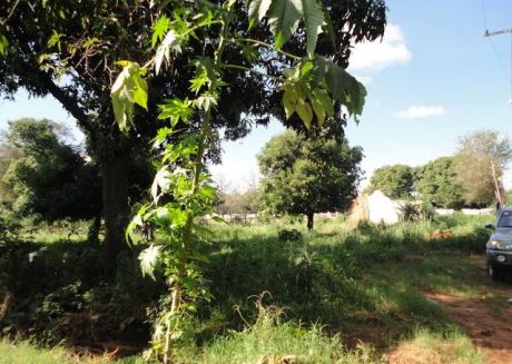 Terreno En Zona Capita - J.a. Saldivar Terreno De 1440 M2