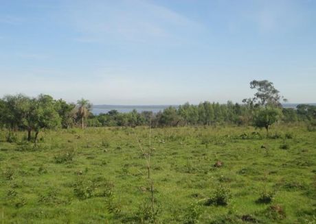 Terreno De 9 Ha. En Ciervo Cua Sanber