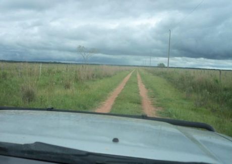 Vendo En Paraguari Sobre Ruta Asfaltada 500 Has De Terreno