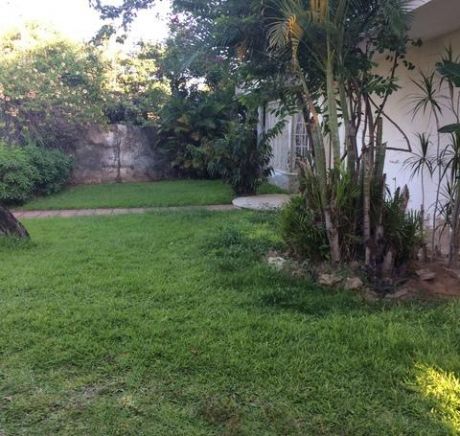 Vendo A Una Cuadra Del Cit 890 M2 (36x25m2 Aprox.)