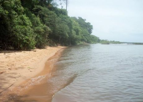 Vendo 33 Has De Terreno Sobre El Lago Ypacarai Y Sobre La Ruta Asfaltada