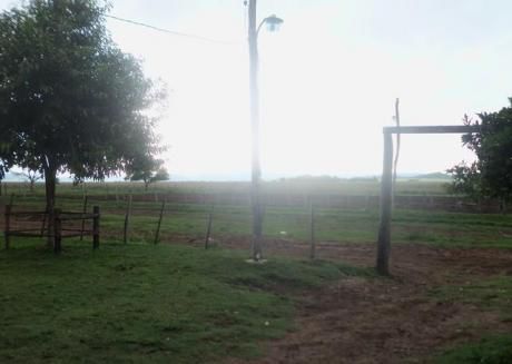 Vendo En Paraguari Terreno 700 Has De Campo Alto