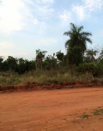 Vendo 2 Terrenos Juntos En Luque, Zona Moras Cue!!