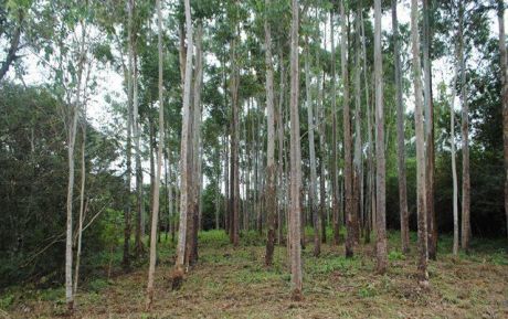 Vendo 5300 M2