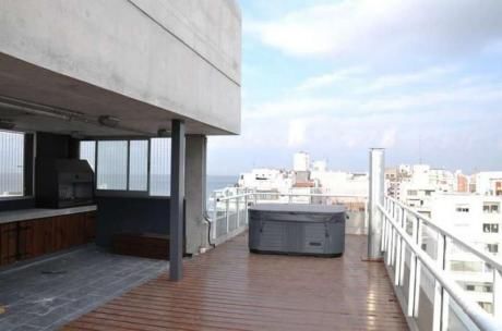 Apartamentos En Punta Carretas