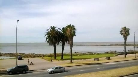 Apartamentos En Punta Carretas