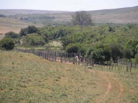 Chacras / Campos En Treinta Y Tres