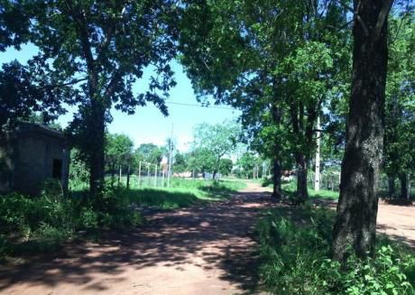 Vendo Terreno En Capiata Km 18, 2 últimos En La Zona, Especial Para Duplex, 44,50 X 16,20