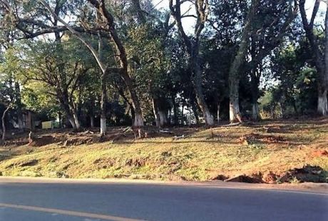 Oferto 3 Terrenos Sobre Asfalto!!, Juntos O Separados En Luque - Cañada San Rafael, Sobre Asfalto, Zona Ips!