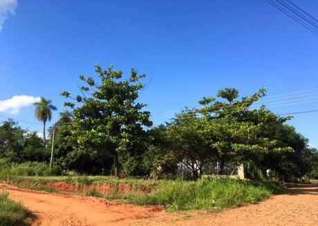 Vendo Terreno En Luque!!