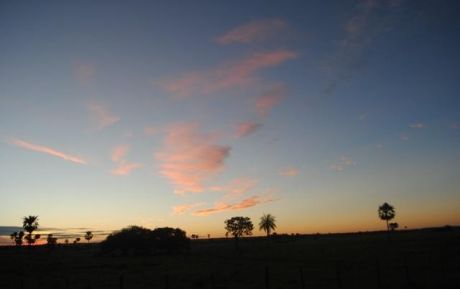 8.111 Ha En Venta Agricola/ganadera