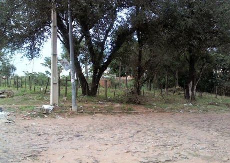 3 Terrenos En Lambare