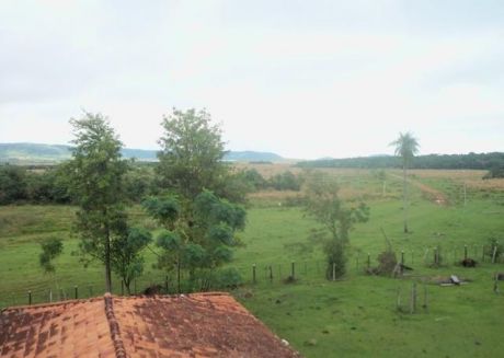 Paraguari Terreno 1.000 Has Sobre Ruta Asfaltada
