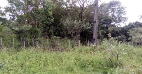 Hermoso Terreno En San Ber!!!!!!