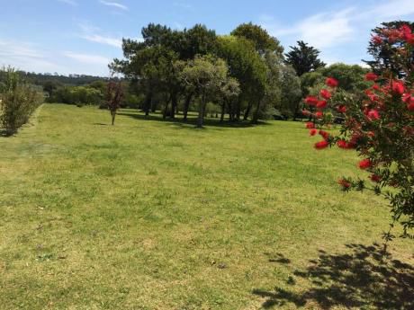Terrenos En Punta Ballena