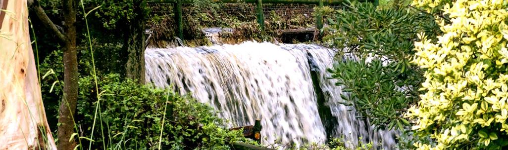 La Cascada