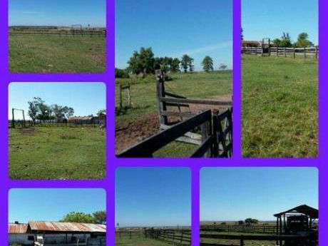 Vendo Estancia A 120 Km- De Asuncion