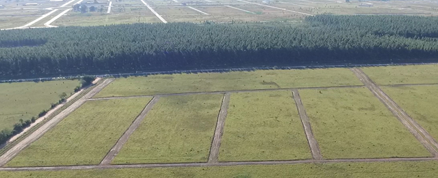 Proyecto destacado: Los Pinos
