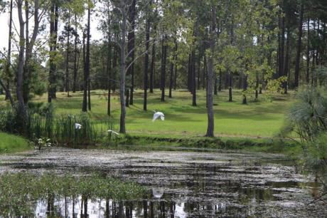 Terreno - Punta Del Este