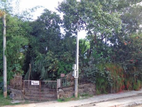 Casa En Venta En Salto, Salto