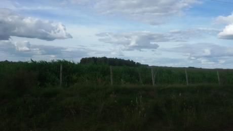 Campo / Chacra En Venta En Durazno , Durazno