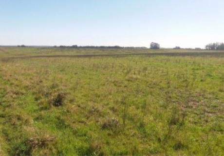 Campo / Chacra En Alquiler En Melo, Cerro Largo